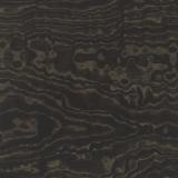 Topo Noir Veneer